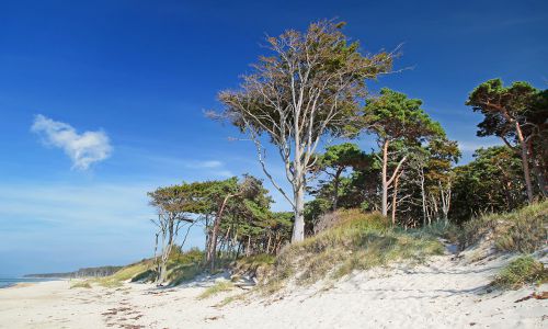 weststrand-4.jpg